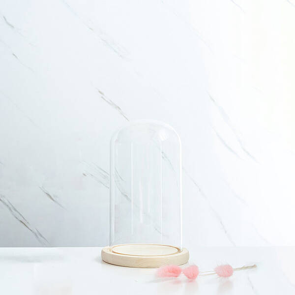 Glass Dome Cover