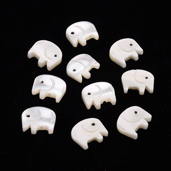 Natural Trochid Shell/Trochus Shell Beads