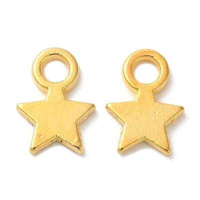 Tibetan Style Alloy Charms
