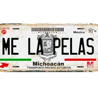 MLP LICENSE CAR PLATE