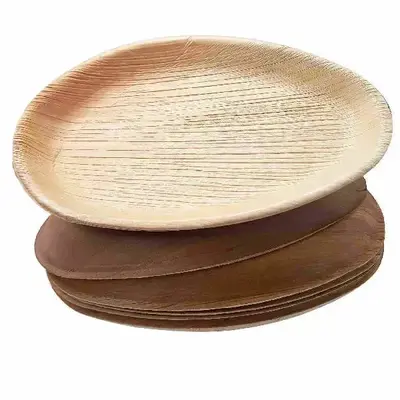 Dtocs Compostable Palm Leaf Plates 10x6 Inch (Pack 50) | USDA Certified Biobased Compostable Bamboo Plates Like Designer Disp...
