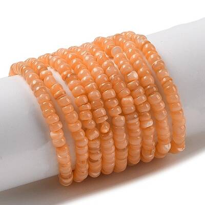 Natural Freshwater Shell Beads Strands