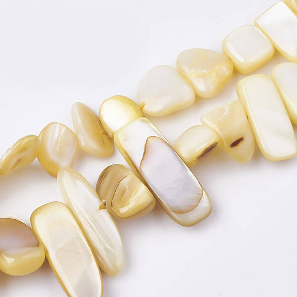 Freshwater Shell Beads Strands