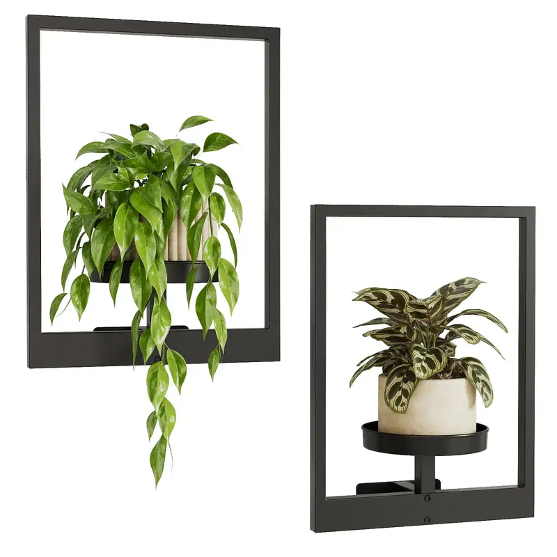Bamworld 2pcs Photo Frame Plant Stand Indoor Outdoor Wall Decor Christmas Decorations  Wall Plant Holder Window Plant Shelf  ...