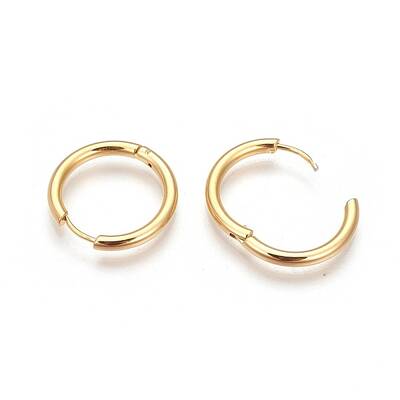 304 Stainless Steel Hoop Earrings