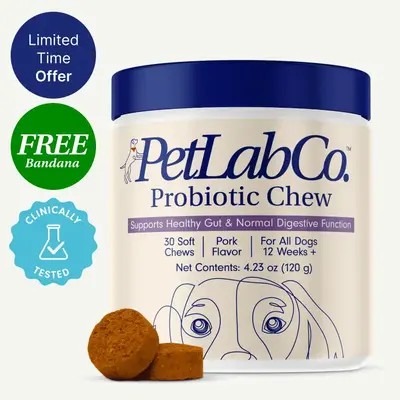 PetLab Co. Probiotics for Dogs Soft Chews for Seasonal Allergies, Gut, and Digestive Health. Vet-Reviewed, Premium-Quality In...