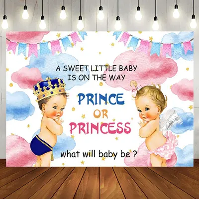 Aperturee Sweet Baby Pink Blue Cloud Gender Reveal Backdrop - Aperturee