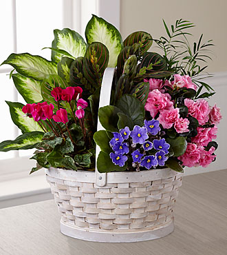 Peaceful Garden Planter