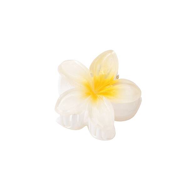 Plastic Claw Hair Clips