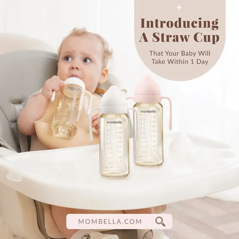 Mombella Classic 10oz Ppsu Baby Feeding Bottle & Straw Cup Sippy Cup