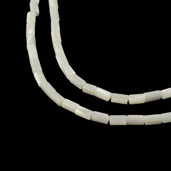 Column Natural Trochid Shell/Trochus Shell Beads Strands