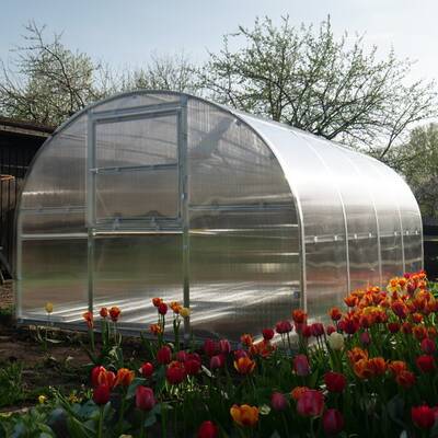High Tunnel Greenhouse | High Tunnel Greenhouse