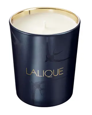 Lalique La Nuit Nairobi Kenya Prugna Candela Profumata 190 g