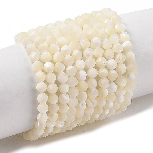 Natural Trochus Shell Beads Strands