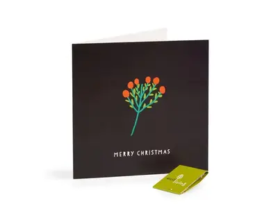 Recycled Christmas Cards - Minimalist (FSC 100%) | Style: Mistletoe