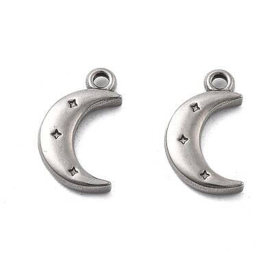 304 Stainless Steel Charms