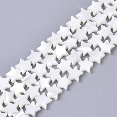 Natural Trochid Shell/Trochus Shell Bead Strands