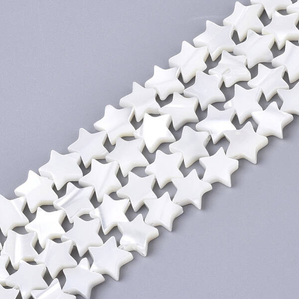 Natural Trochid Shell/Trochus Shell Bead Strands