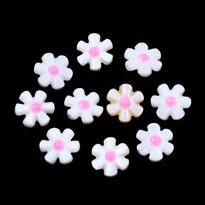 Natural Freshwater Shell Enamel Beads