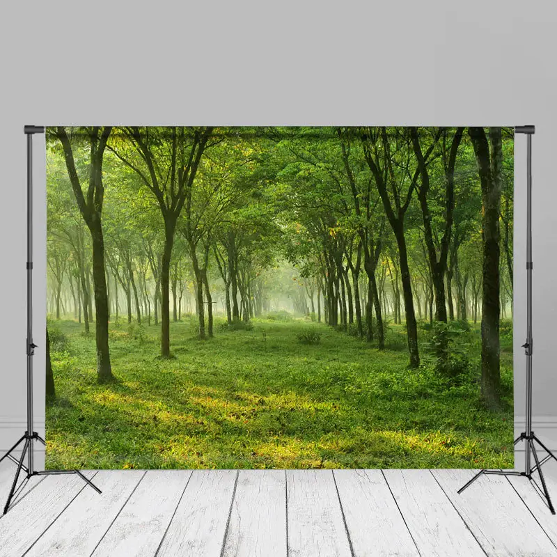 Green Forest And Grass Spring Photography Backdrop - Aperturee