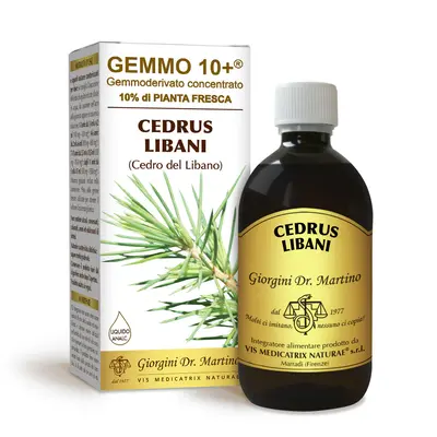Dr Giorgini gemmo 10+ cedar of lebanon 500 ml non-alcoholic liquid