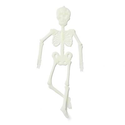 Luminous Plastic Skeleton Model