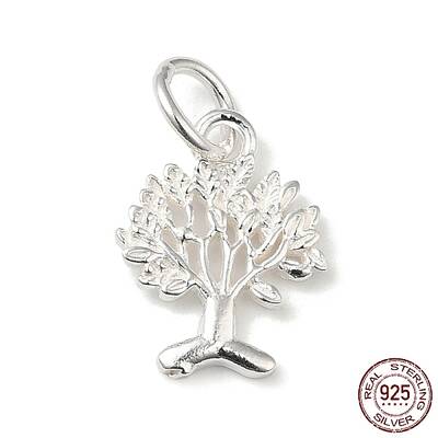 925 Sterling Silver Charms