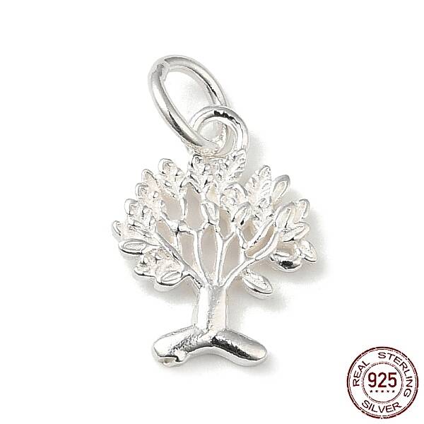 925 Sterling Silver Charms