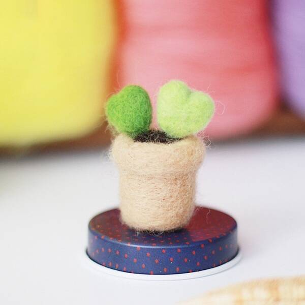 Cactus Needle Felting Kit
