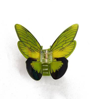 Acrylic Claw Hair Clips