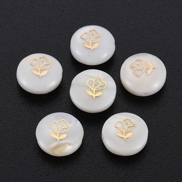 Natural Freshwater Shell Beads