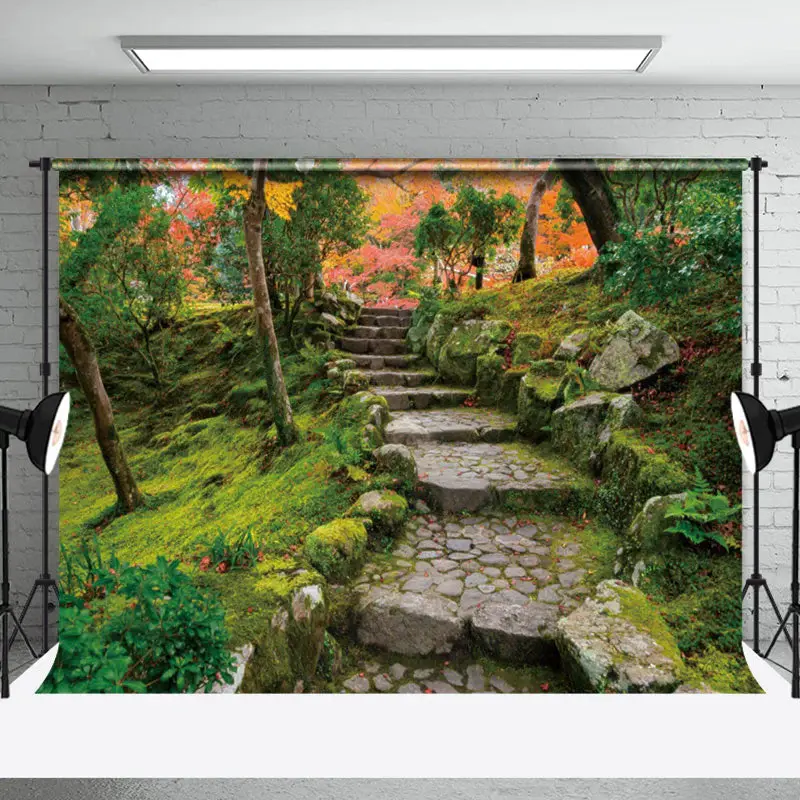 Forest Path Stone Steps Spring Photography Backdrop - Aperturee