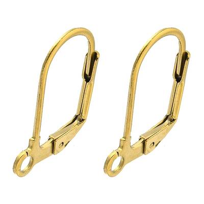 Ion Plating(IP) 304 Stainless Steel Leverback Earring Findings