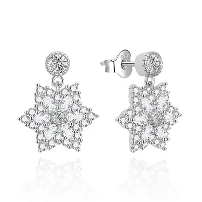 Agato Fascinating Drop Earrings with Zirconia AGT-E012PW