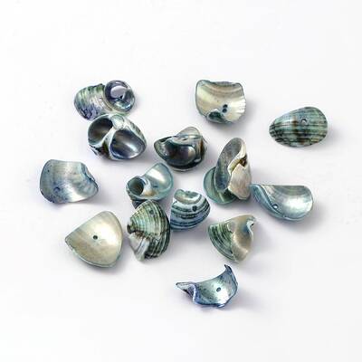 Natural Sea Shell Beads