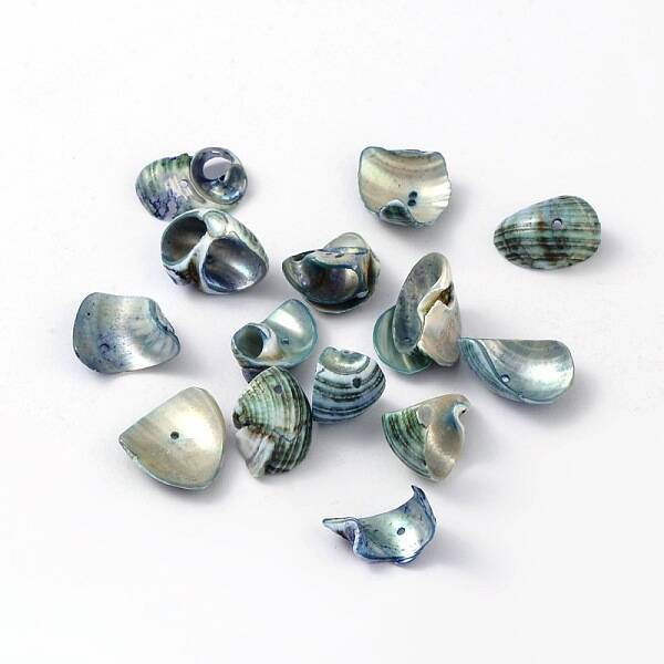 Natural Sea Shell Beads