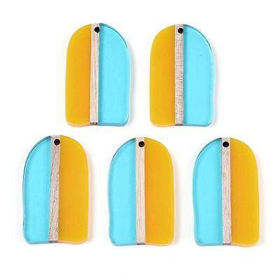 Transaprent Resin & Wood Pendants
