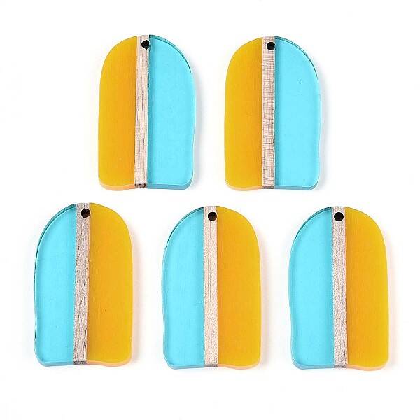 Transaprent Resin & Wood Pendants