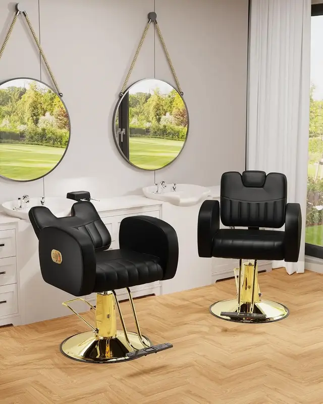 Baasha Ergonomic Gold Salon Chair with Comfortable Thickened Cushions, Heavy Duty Stylist Chair with Steel Frame, Stylish Hai...