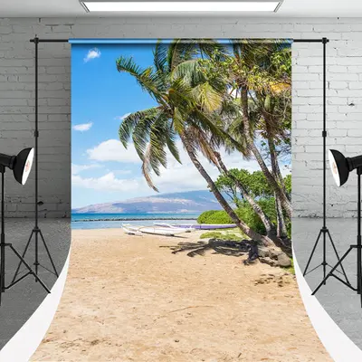 Sunshine Beach Boat Trees Sweep Photoshoot Backdrop - Aperturee