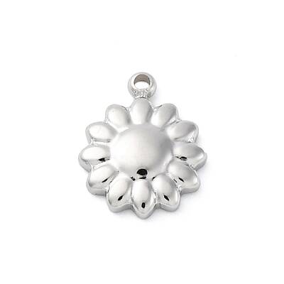 304 Stainless Steel Charms