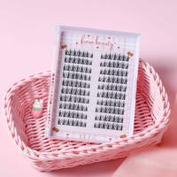 Premapped Manhua Manga Lashes Clusters 10 Pairs/140 Pcs Cat Eyelashes Lash Extension Lightweight Makeup