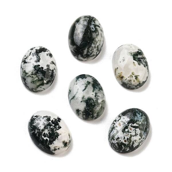 Natural Tree Agate Cabochons