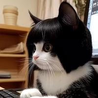 Cat Hair Wig, Cute Cat Costume Wig with Hair Clip, Pet Hair Accessories for Indoor Outdoor Wear, Fashionable Pet Clothes for ...