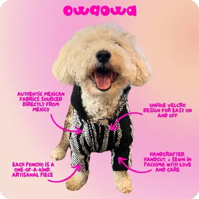 Handmade Velcro Dog + Cat Poncho - Cozy Fit for Dogs & Cats, One-of-a-Kind Fabric, Warm Dog Hoodie with Leash Hole, Large Dog...