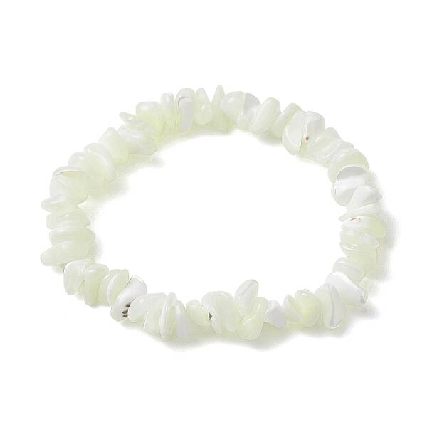 Natural Trochus Shell Chip Beaded Stretch Bracelets for Women Men