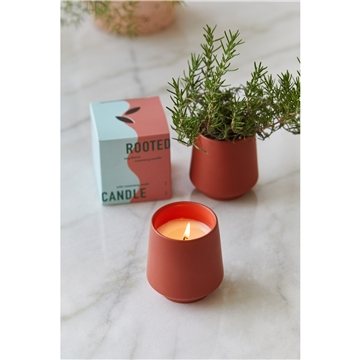 15 Customized Modern Sprout Rooted Candle - Soy Blend & Seed ...
