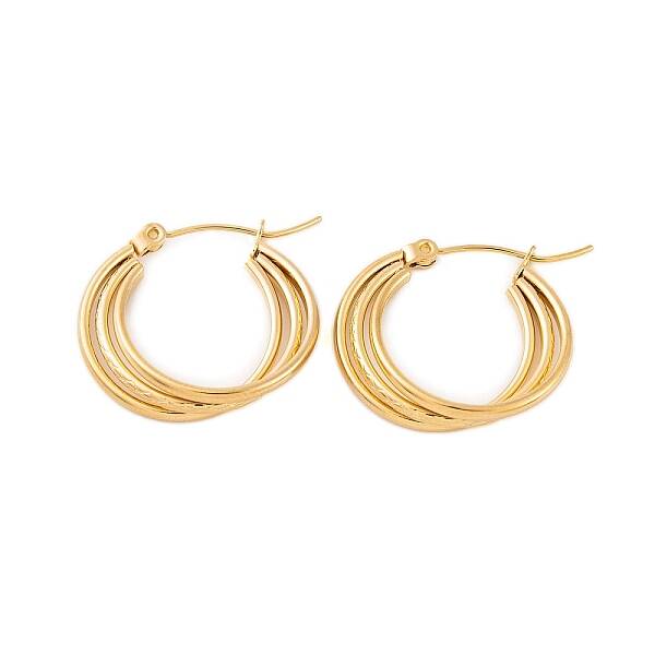 Ion Plating(IP) 304 Stainless Steel Hoop Earrings for Women