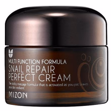 Mizon Face cream with 60% snail secretion filtrate for problematic skin (Snail Repair Perfect Cream) 50 ml - 50 ml