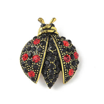 Alloy Rhinestone Brooches for Backpack Clothes